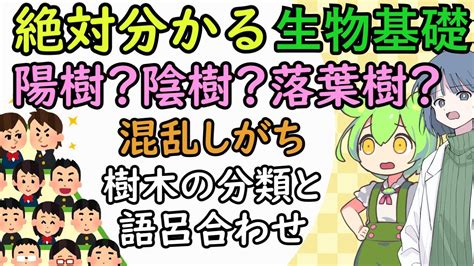 松 陽樹|樹木の陰陽について知りたい。陰の木はイチジク、陽の木はマツ。